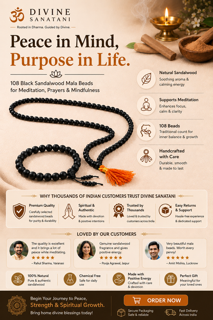 Divine Sanatani Karungalu Mala(108 Beads) & Karungali Bracelet Combo