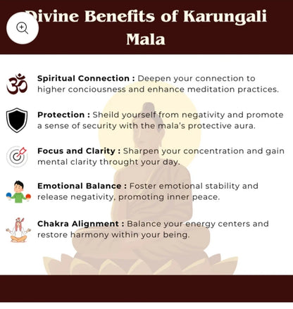 Original Karungali Malai 108 Ebony Blackwood Beads Lab Tested and Government Certified